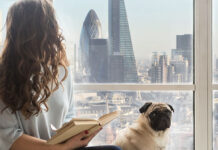 Achieving Personal Harmony Through Transformative Coaching Methods